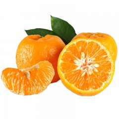 晚芦  约3斤 本季新鲜的柑橘