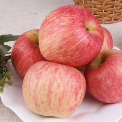 红富士苹果  1400g-1600g  脆甜可口 