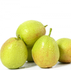 新疆库尔勒香梨 新鲜梨子水果  两斤