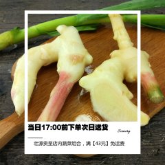 壮源贡呈【农场直供】【原生态】蔬菜 嫩姜500g 